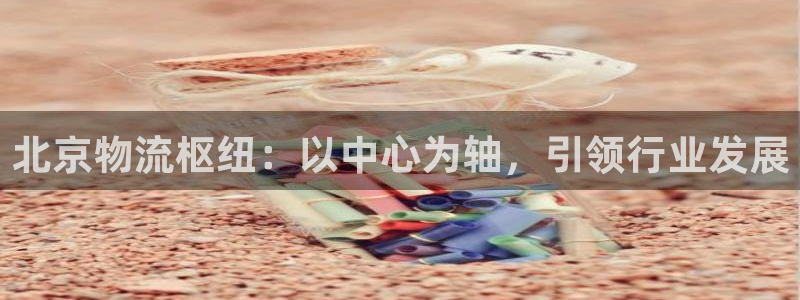 狗子28充值不处理：北京物流枢纽：以