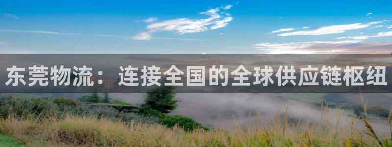 狗子28可靠吗：东莞物流：连接全国的