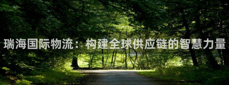 狗子28人工客服电话是什么：瑞海国际物流：构建全球供应链的智