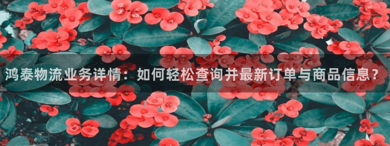 狗子28退款