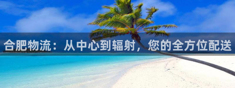狗子28代理落网：合肥物流：从中心到