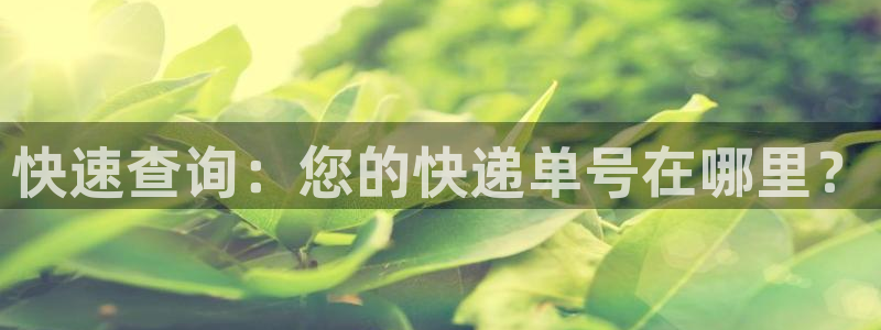 狗子28违法吗：快速查询：您的快递单
