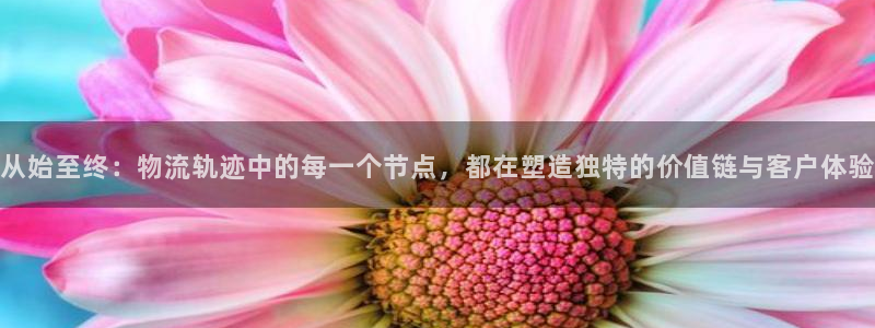 狗子28模拟器：从始至终：物流轨迹中