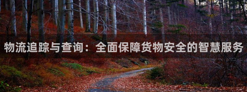 狗子28官方网站是多少：物流追踪与查