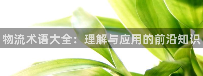 狗子28电子：物流术语大全：理解与应