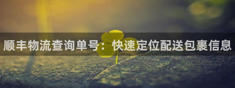 狗子28女王中奖记录查询：顺丰物流查