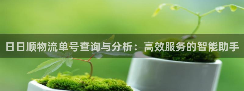 狗子28官网平台：日日顺物流单号查询