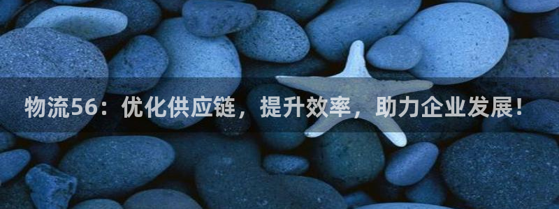 狗子28加拿大6.0：物流56：优化