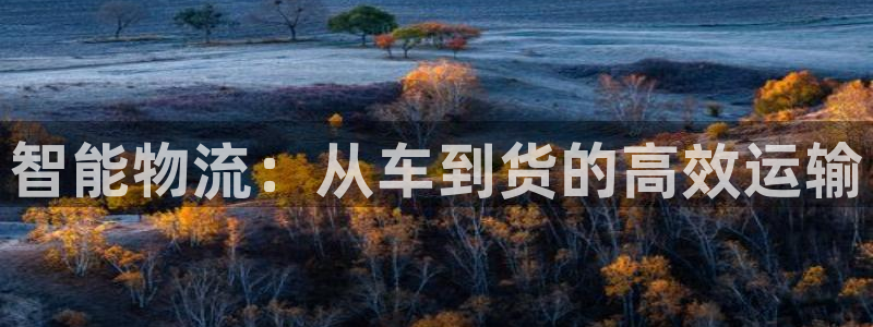 狗子28比特28预测在线预测：智能物流：从车到货的高效运输