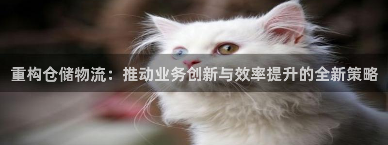 狗子28人头费：重构仓储物流：推动业