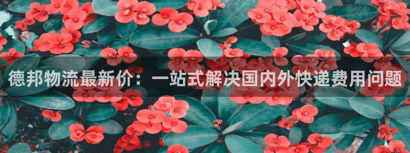 狗子28app赢了500万：德邦物流