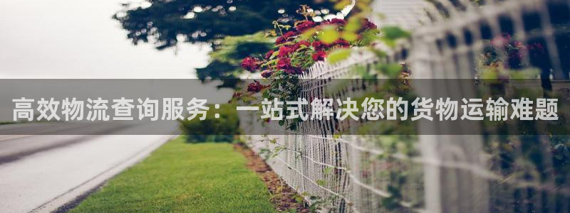 狗子28官网入口pcios：高效物流