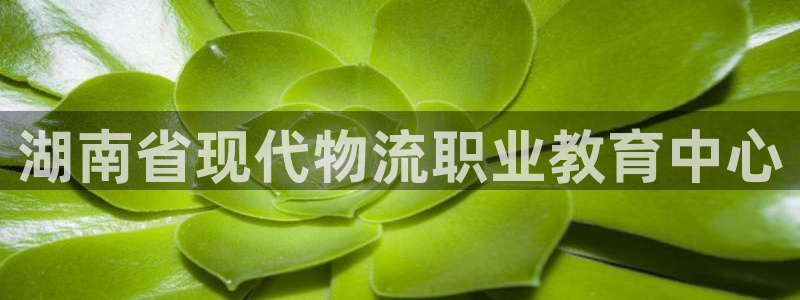 狗子28软件：湖南省现代物流职业教育