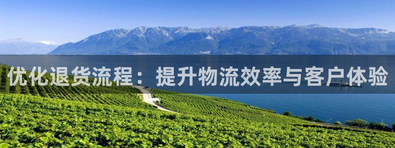 狗子28加拿大下载：优化退货流程：提