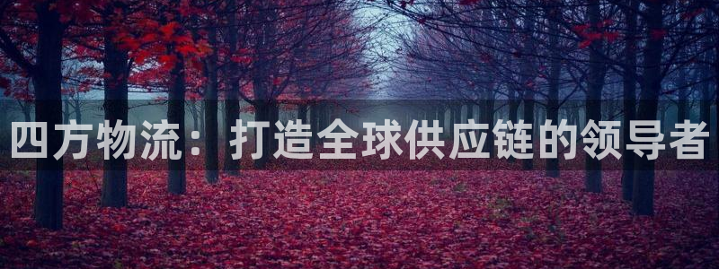 狗子28app官网少林足球：四方物流