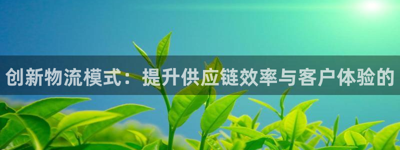 狗子28绿骨头：创新物流模式：提升供