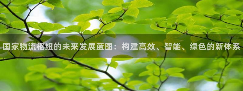 狗子28注册平台：国家物流枢纽的未来