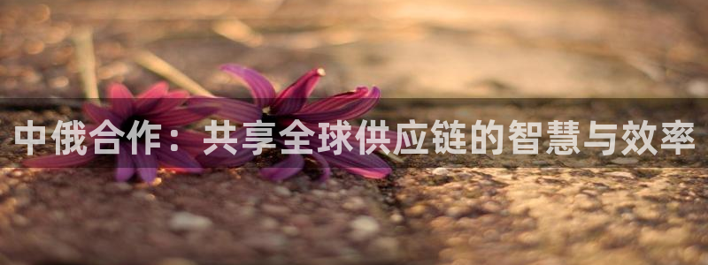 狗子28官网下载APP：中俄合作：共