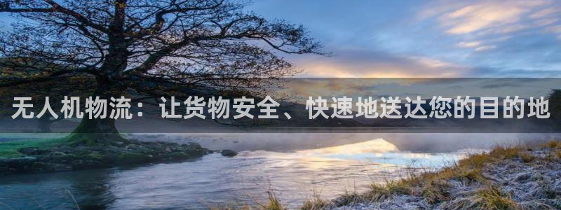 狗子28娱乐官网网页入口：无人机物流