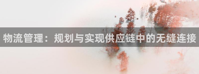 狗子28代理落网