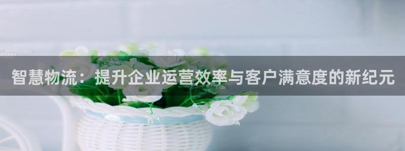 狗子28充值不到账怎么回事：智慧物流