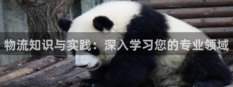 狗子28能提现吗：物流知识与实践：深