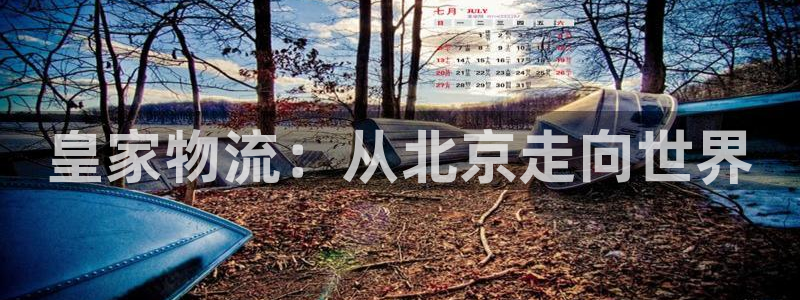 狗子28稳吗：皇家物流：从北京走向世界