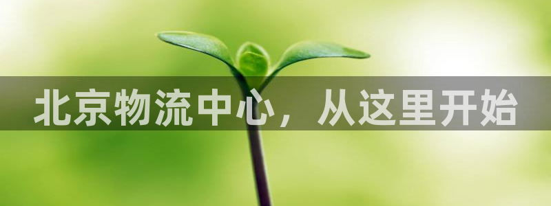 狗子28游戏最新版:北京物流中心,从