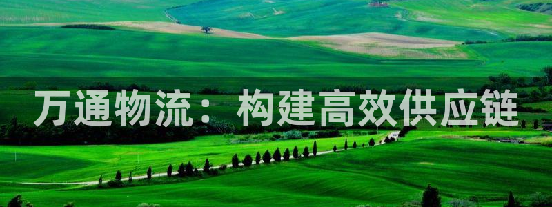 狗子28充值金额随便:万通物流:构建