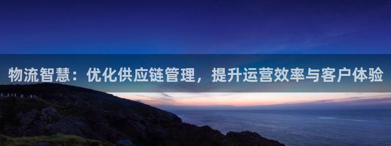 狗子28口内径是多大：物流智慧：优化供应链管理，提升运营效率