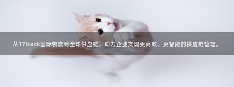 狗子28退款教程:从17track国