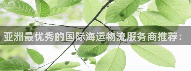 狗子28官方网站是多少:亚洲最优秀的
