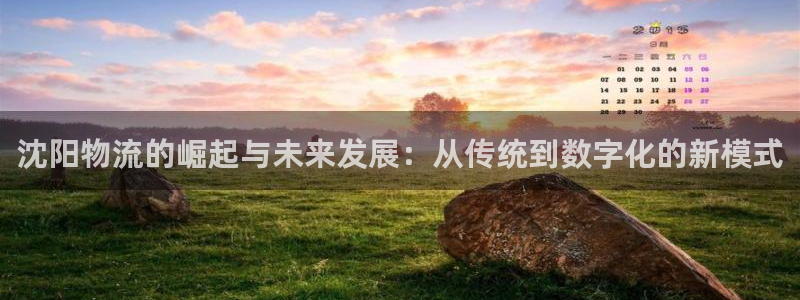 狗子28app注册地址:沈阳物流的崛