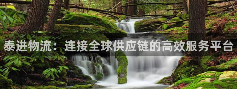 狗子28怎么注册账号和密码:泰进物流