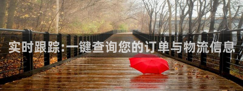 狗子28客服一直不回消息怎么办：实时