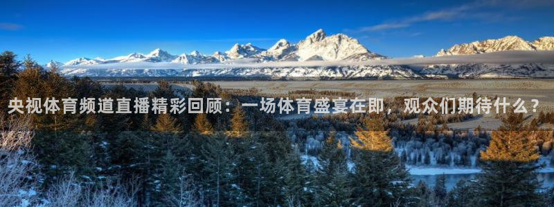 直播看球吧