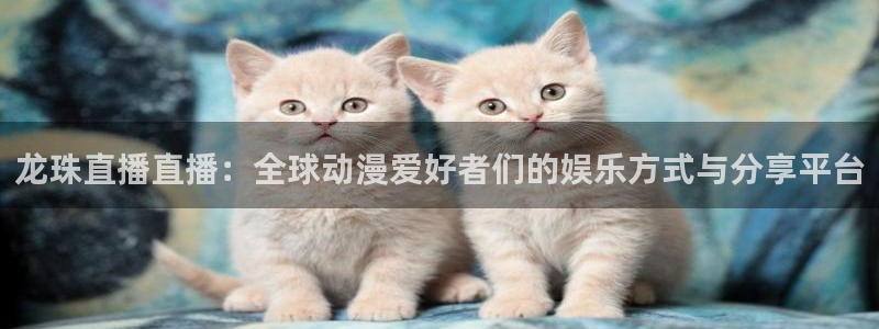 24直播吧 看球吧：龙珠直播直播：全球动漫爱好者们的娱乐方式与分享平台