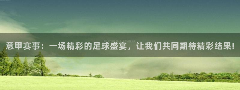 886直播看球吧：意甲赛事：一场精彩的足球盛宴，让我们共同期待精彩结果!
