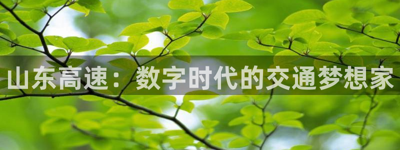 直播看球吧：山东高速：数字时代的交通梦想家