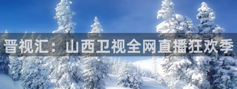 直播看球吧：晋视汇：山西卫视全网直播狂欢季