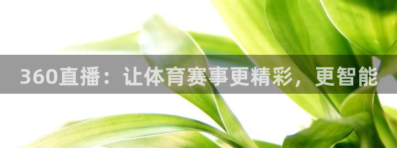 看球吧在线观看：360直播：让体育赛事更精彩，更智能