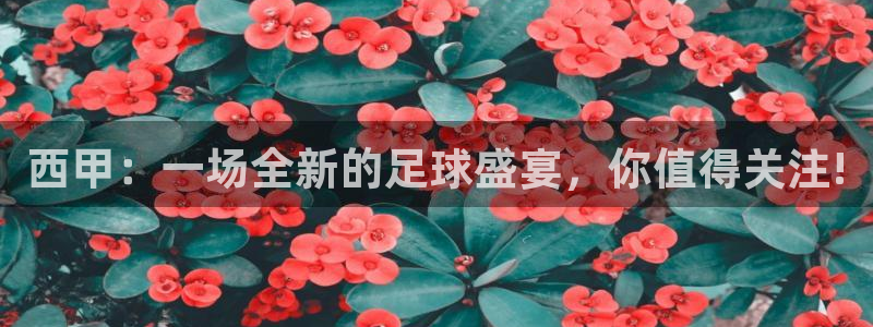 jrs直播低调看球吧：西甲：一场全新的足球盛宴，你值得关注!